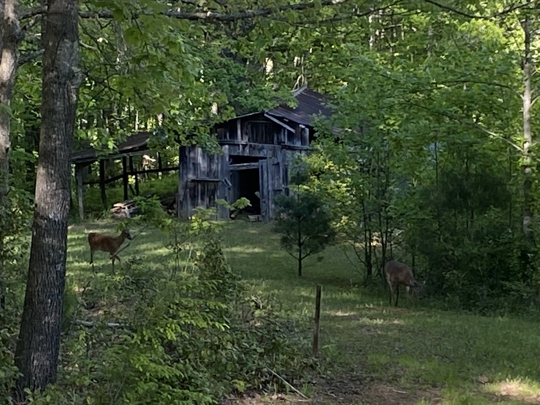 Rustic barn on Karen's mountain property